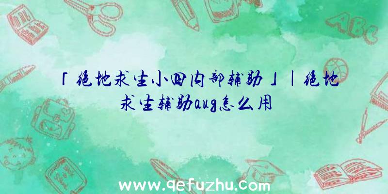 「绝地求生小四内部辅助」|绝地求生辅助aug怎么用